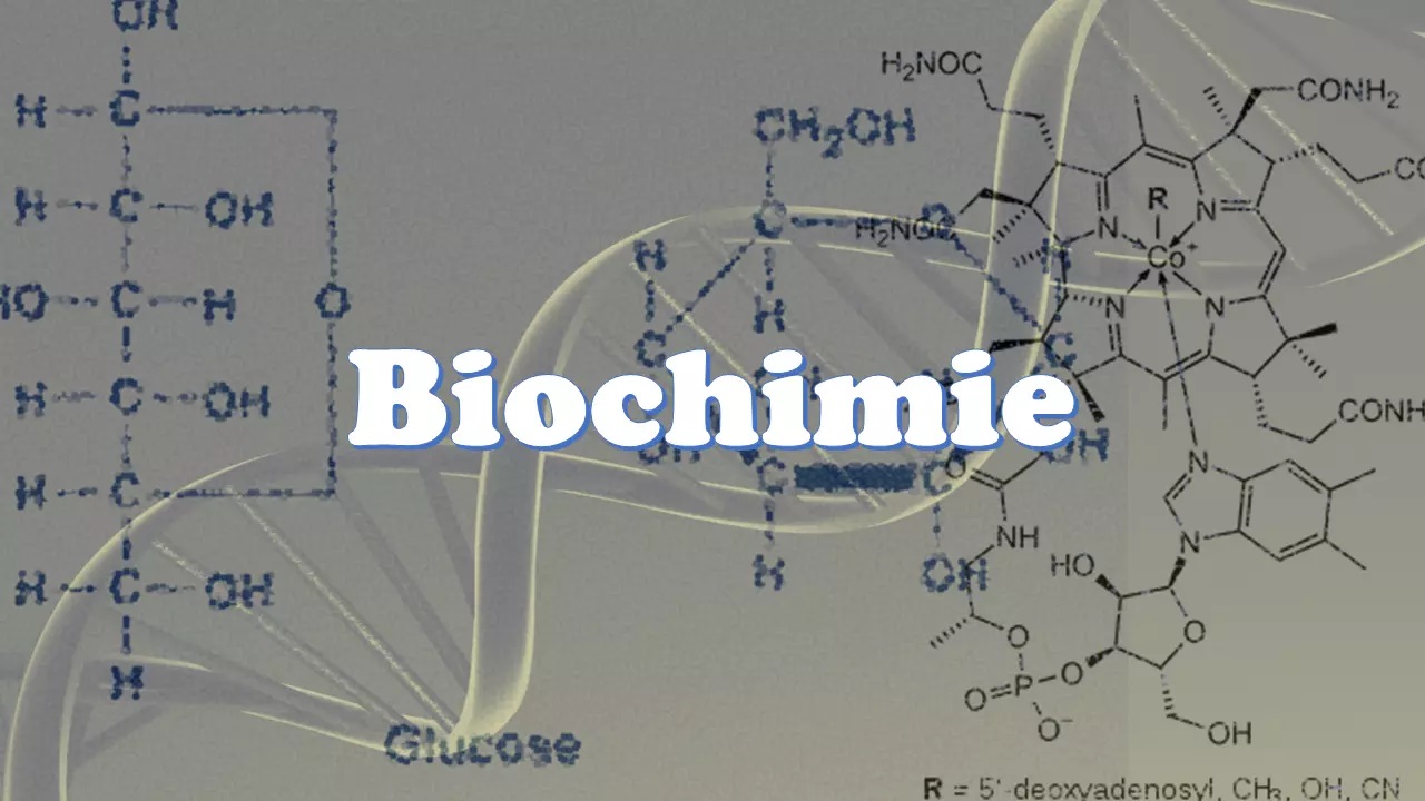 BIOCHIMIE