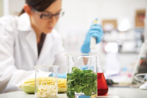TP TECHNIQUE ALIMENTAIRE